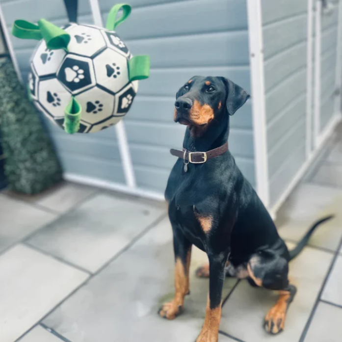 Pelota de Fútbol Duradera para Perros