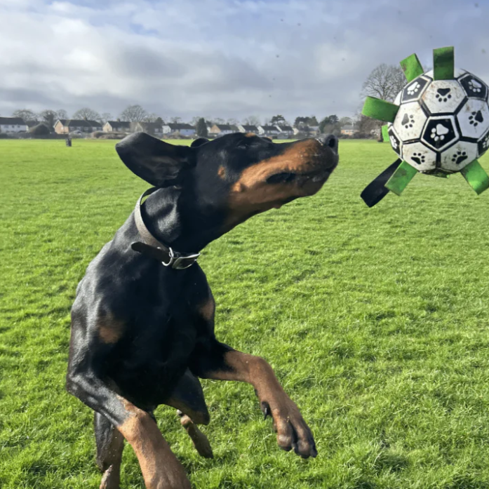 Pelota de Fútbol Duradera para Perros