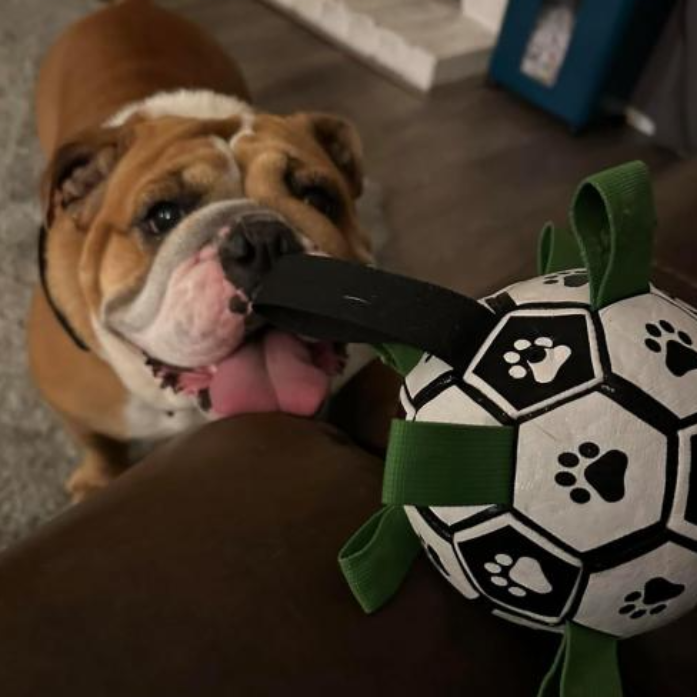 Pelota de Fútbol Duradera para Perros